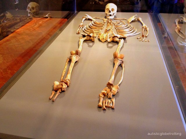 Taking the Family to Cusco's Machu Picchu Museum bones