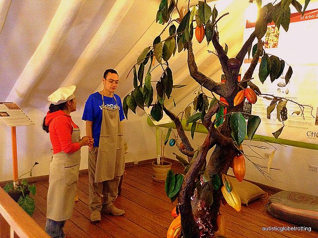 Family Fun at Cusco's ChocoMuseo tree