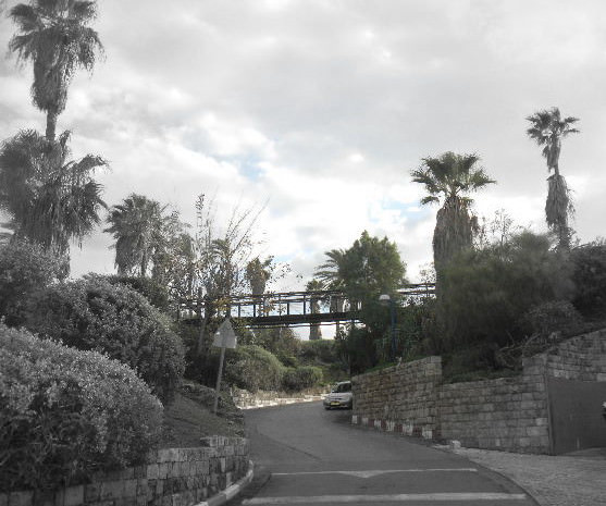 Old Jaffa 2.0 :Reliving childhood memories with the kids bridge