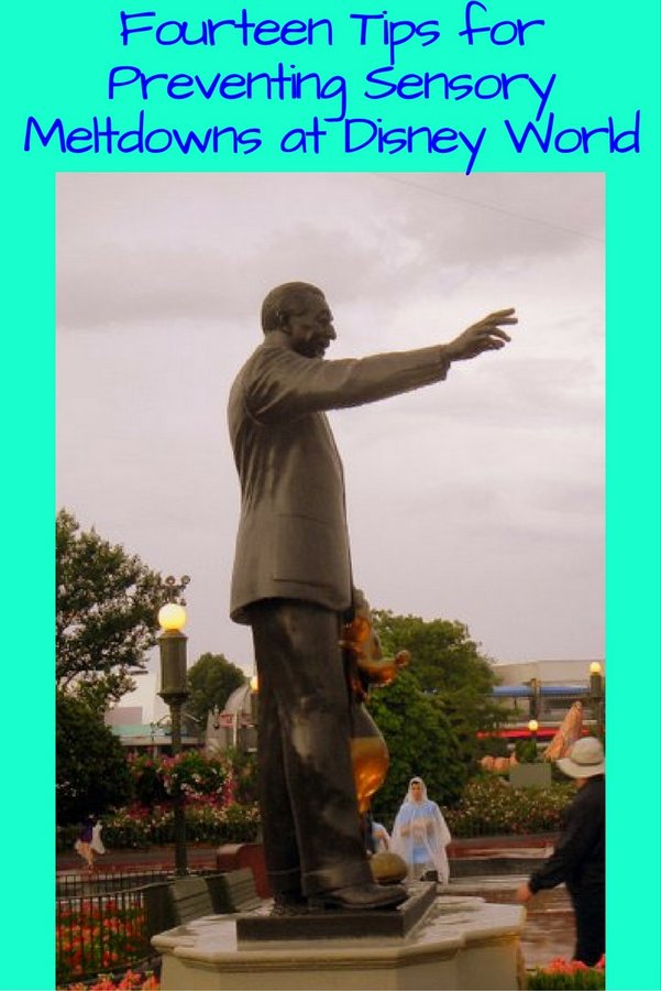 Fourteen Tips for Preventing Sensory Meltdowns at Disney World pin