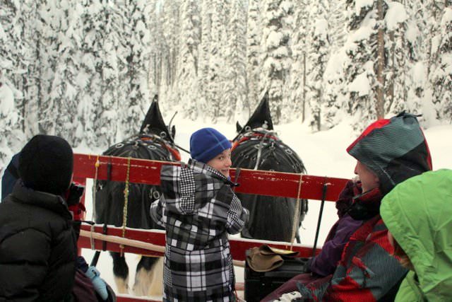  Q&A with Donna Ciccia Autism Parent & Homeopathic Nutritionist ski