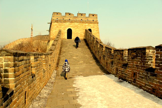  Q&A with Donna Ciccia Autism Parent & Homeopathic Nutritionist china