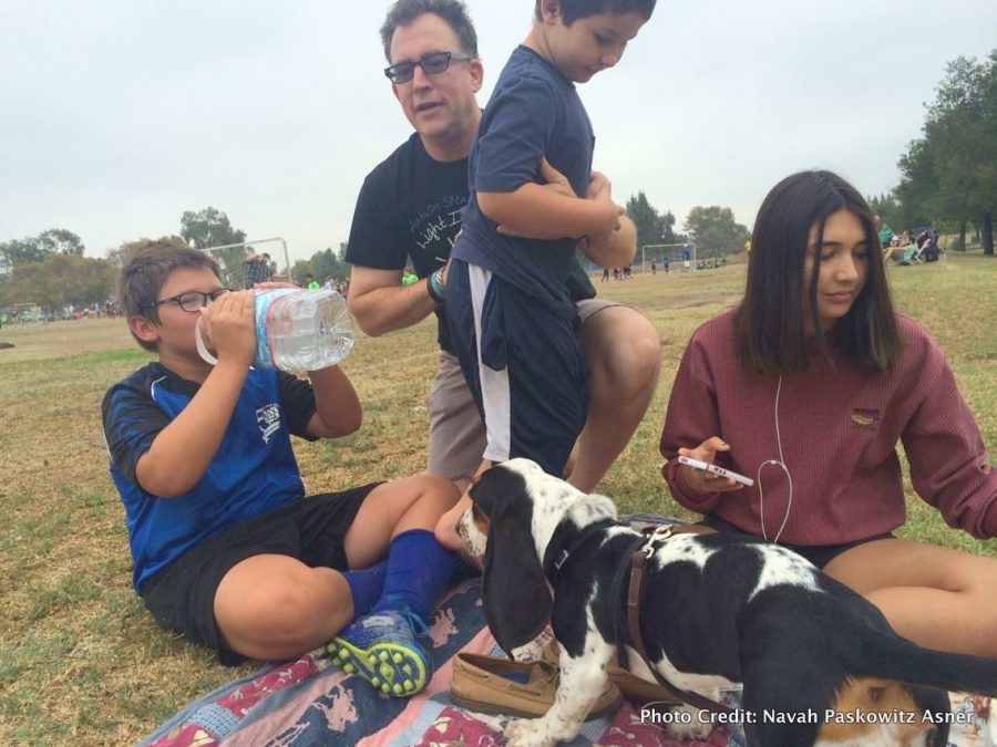 Navah Paskowitz Asner: Traveling with the Brady Bunch of Autism picnic