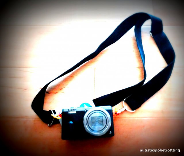 Panasonic's Lumix ZS40 Perfect to Capture Disney Moments CAMERA