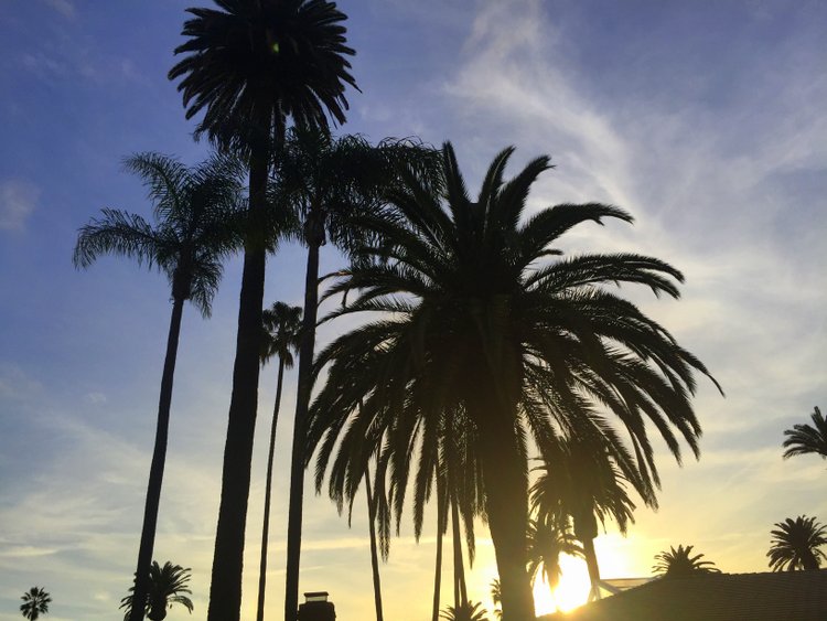 santa monica