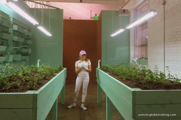 Coolest Addition to LA: The Museum of Ice Cream MINT