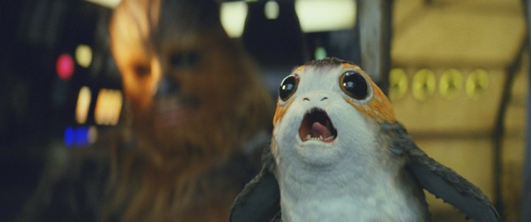 the porgs in the last jedi are hilarious