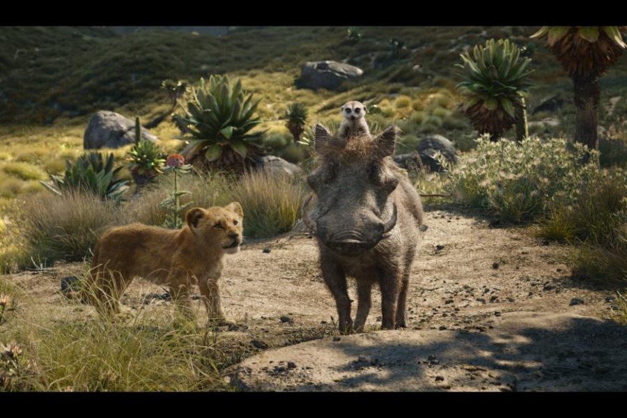 pumba and Timon