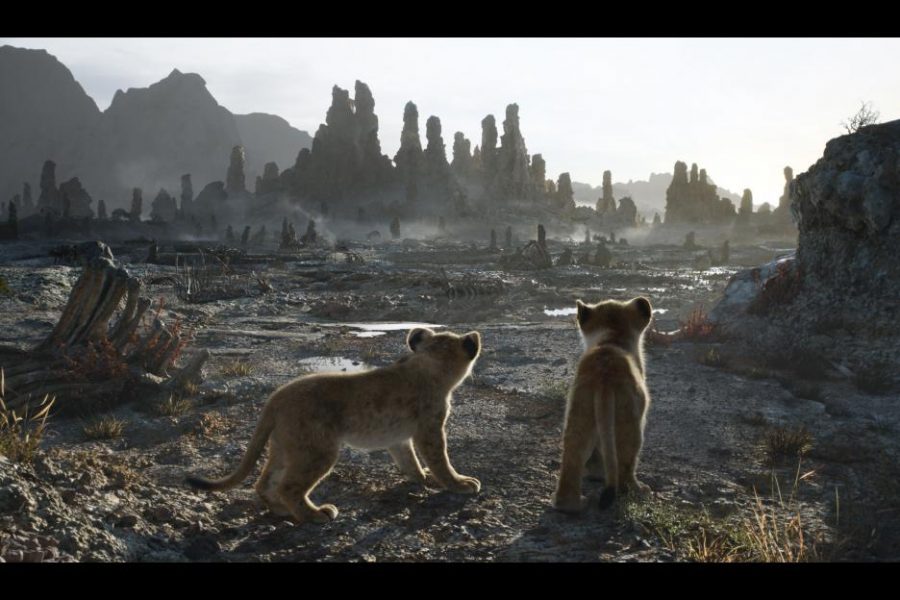 The pride lands