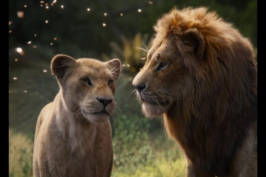 Mufasa and sarabi