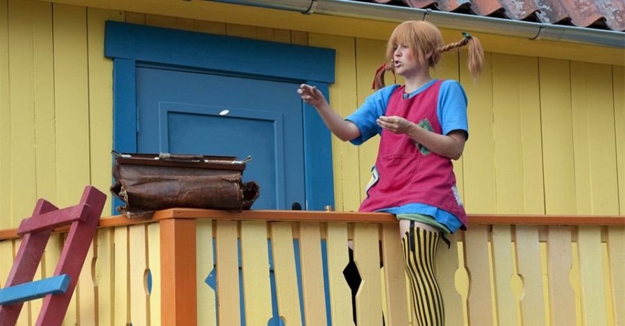pippi on ladder