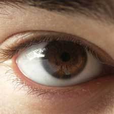 in their eyes