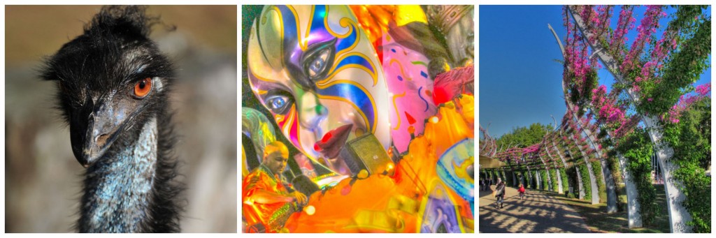 Q&A with John Elder Robison author of 'Look me in the eye' COLLAGE