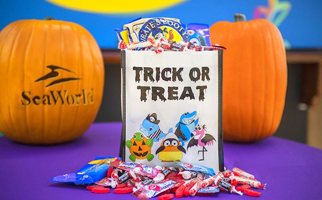 10 Autism Friendly Halloween Spots for Families