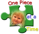 Pervasive Developmental Disorder-Not Otherwise Specified